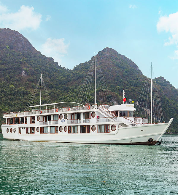 CALYPSO CRUISE