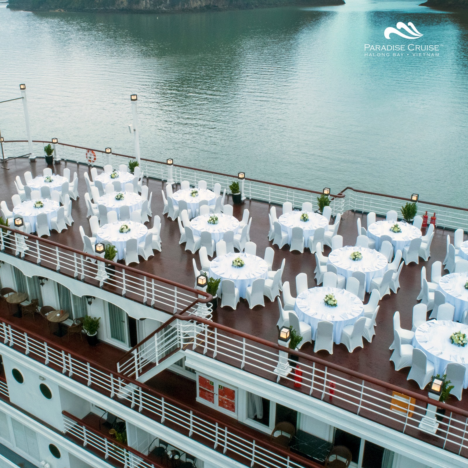 PARADISE CRUISE