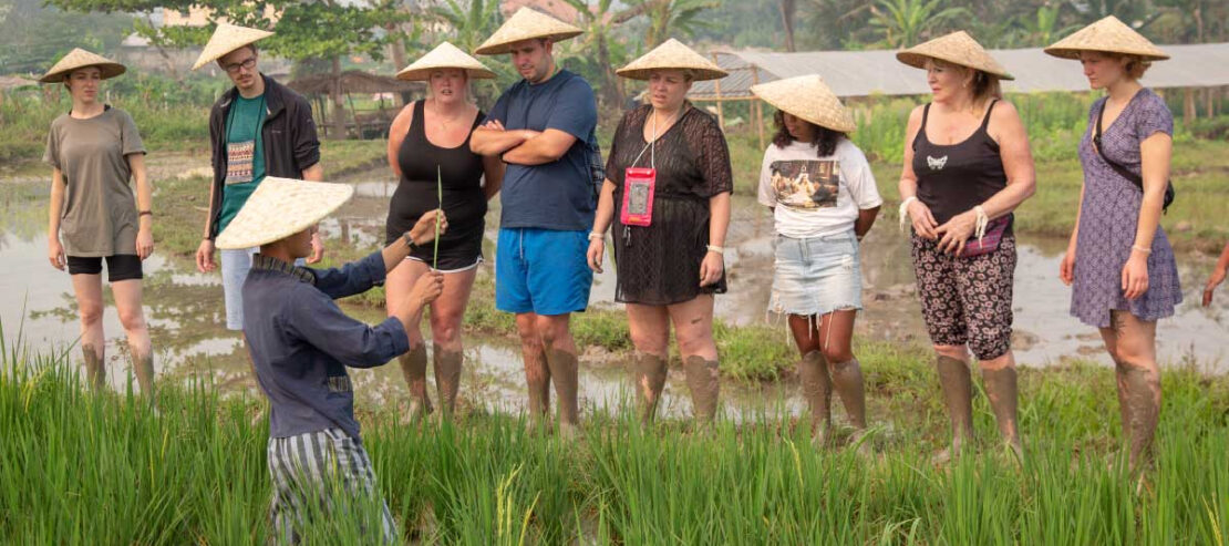 Vietnam Charme et Côtes du Sud en petit groupe - Image 6
