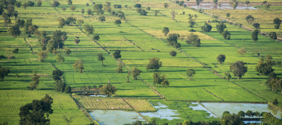 Au coeur d'Angkor - Image 10