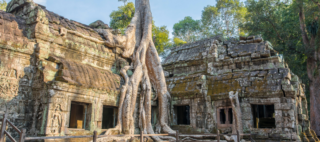 Au coeur d'Angkor - Image 6