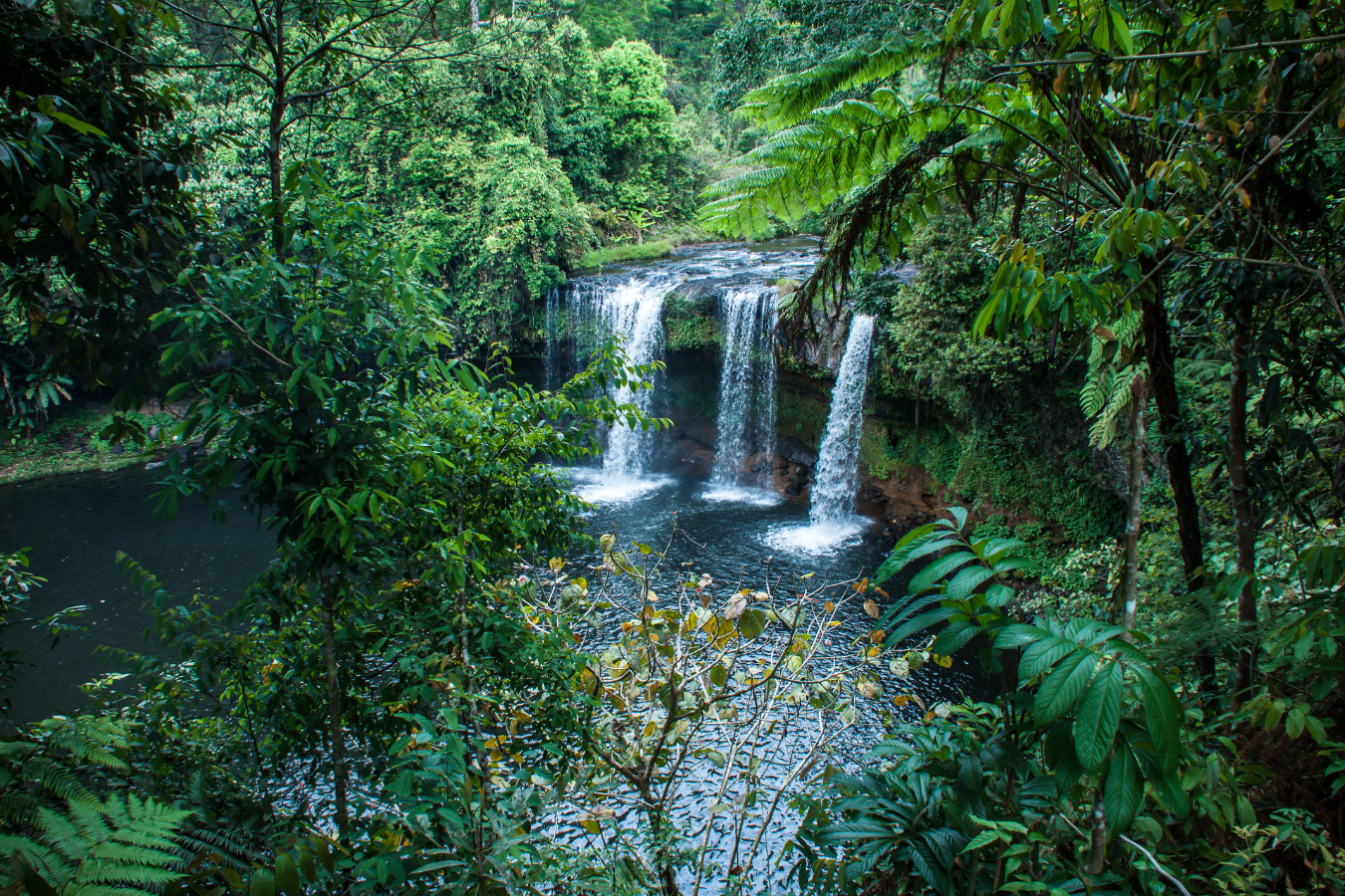 Au fil du Mékong - Image 8