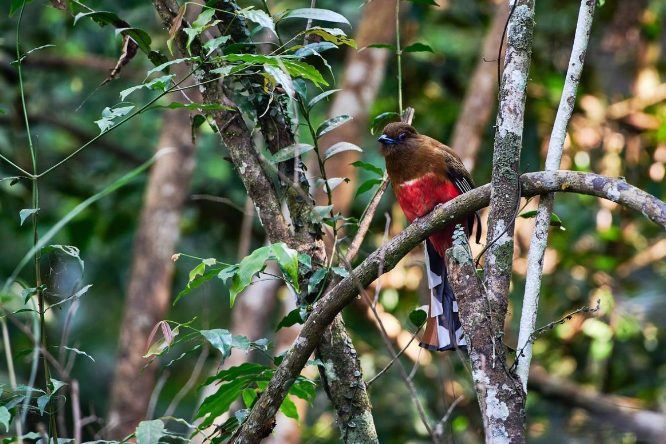 Culture et nature dans le nord-est du pays - Image 5