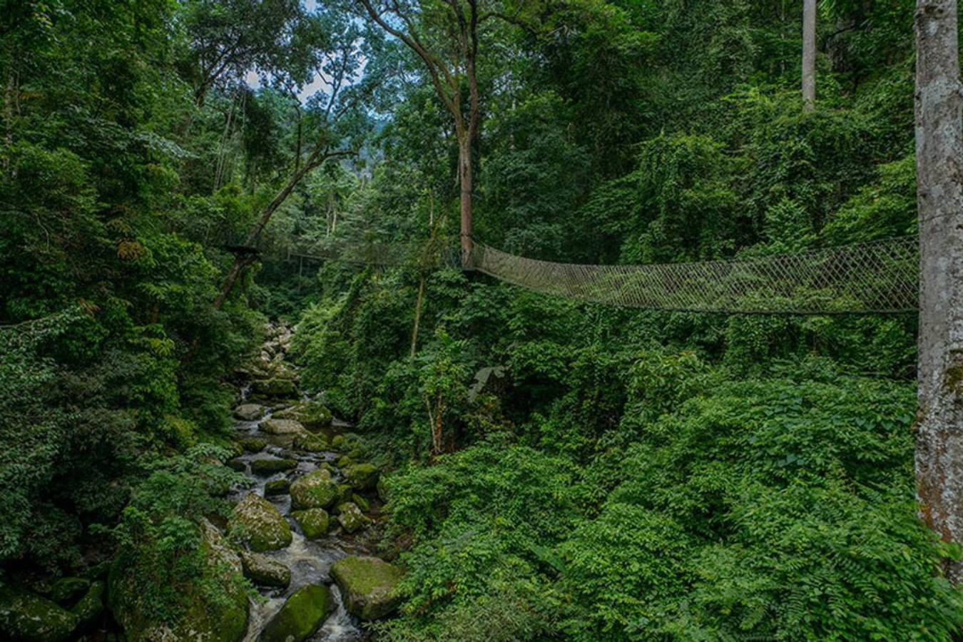 L'essentiel du Nord - Image 7