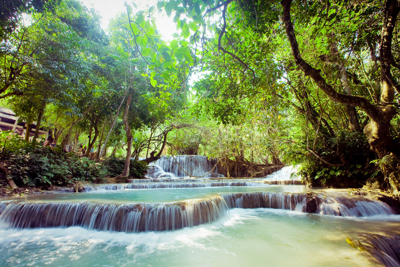 L'essentiel du Nord - Image 13