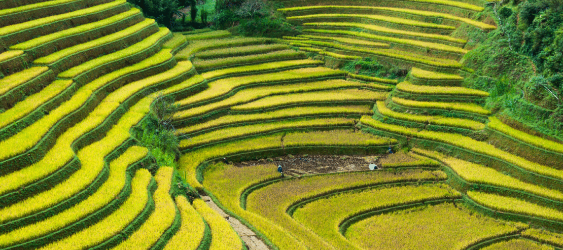 Combiné Laos Vietnam, Ethnies du nord et rizières en terrasse