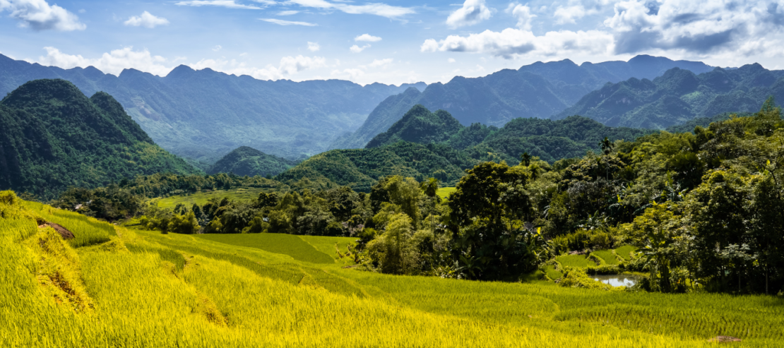 Vietnam incontournable - Image 9